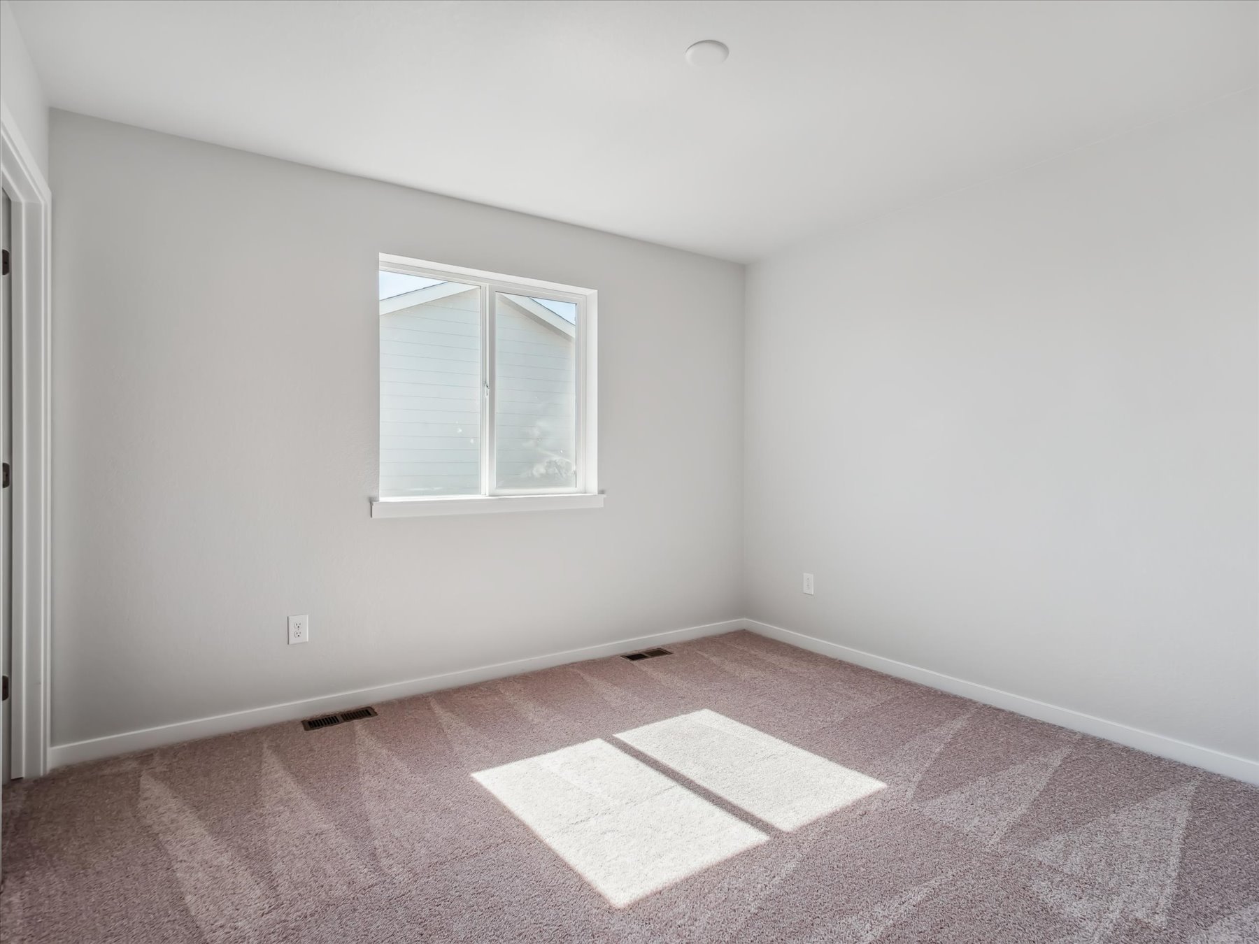 A room with a rug and a window.