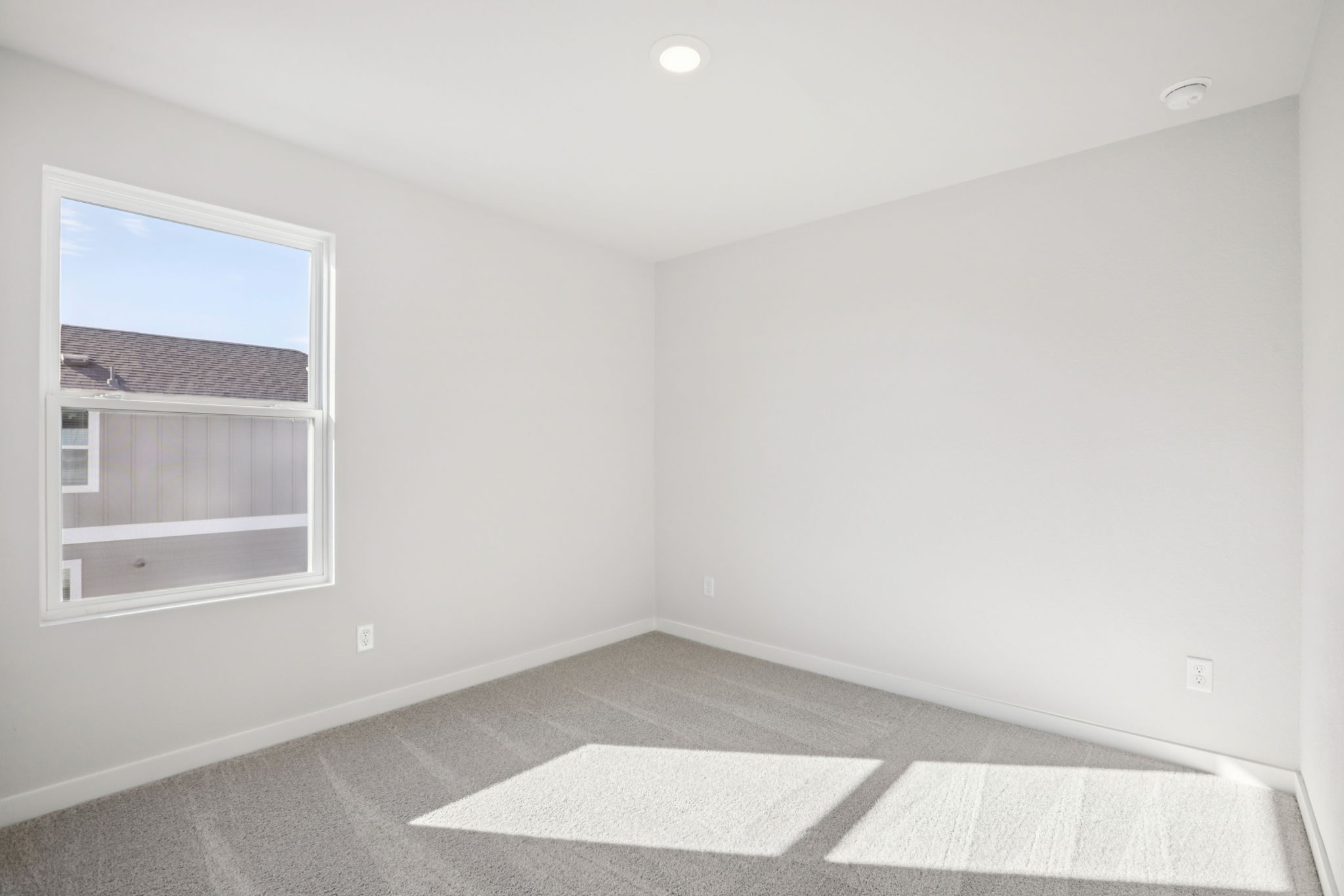 A room with a rug and a window.