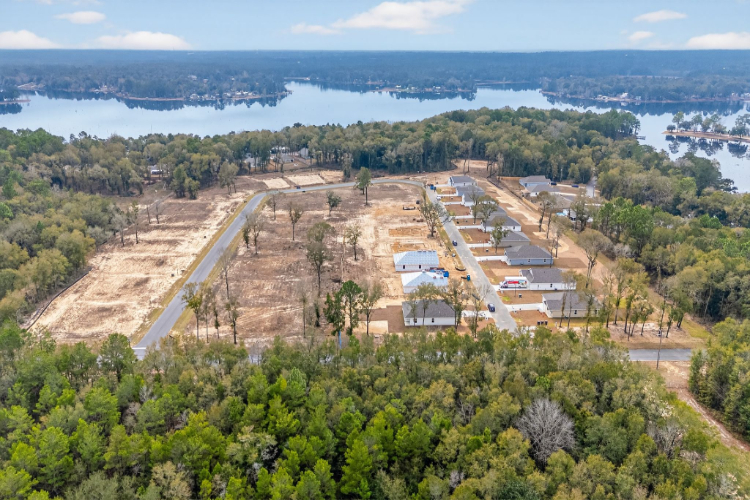 A landscape with trees and buildings.